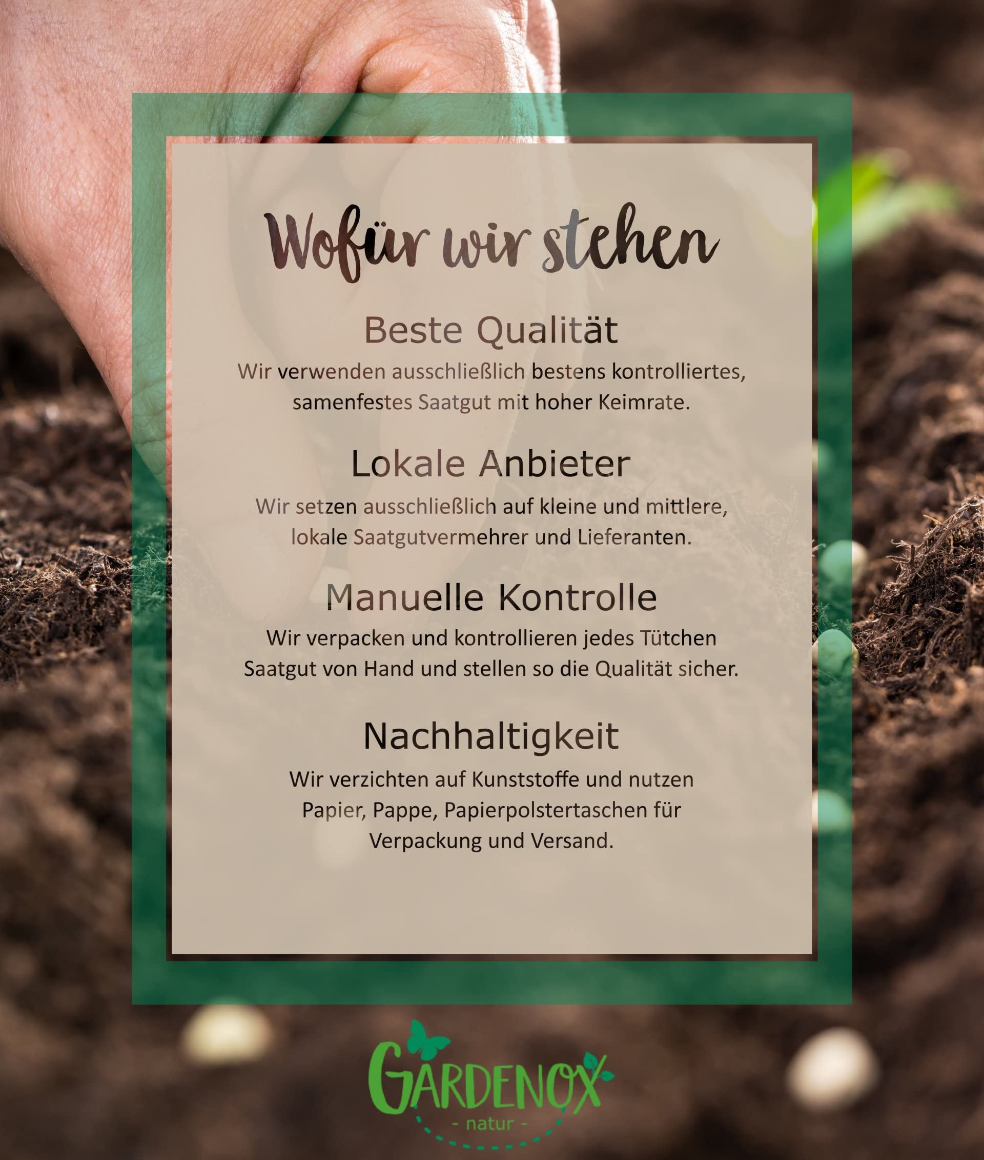 Gardenox Kaninchenwiese Samen Kruterwiese anlegen fr Kaninchen und  Meerschweinchen : Amazon.de: Garten