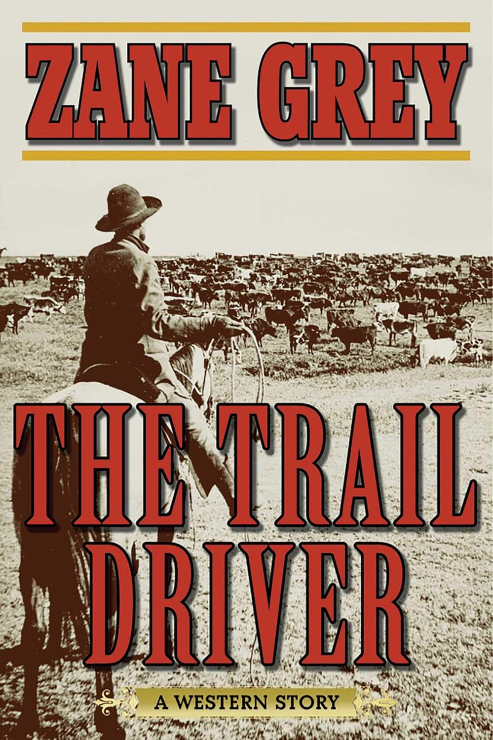 The Trail Driver: A Western Story
