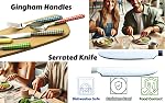 Exzact Cutlery Set 20pcs Stainless Steel - Gingham Coloured Handles Silveware - Dishwasher Safe - Serve for 4