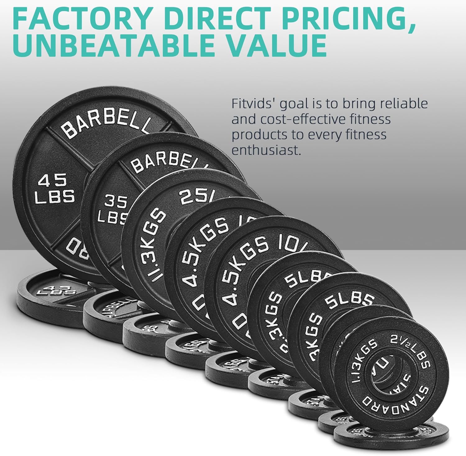 Fitvids Cast Iron Standard Weight Plates Including 5FT Standard Barbell with Star Locks, 45-Pound Set (35 Pounds Plates + 10 Pounds Barbell), Multiple Styles