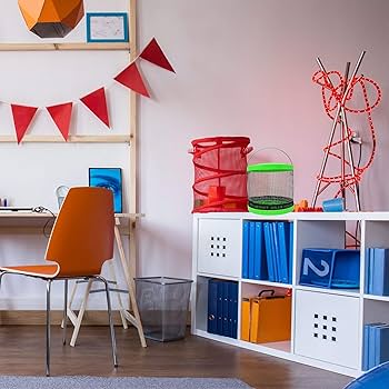 Amazon.com : Needzo DIY Terrarium Kit, Medium Hermit Crab