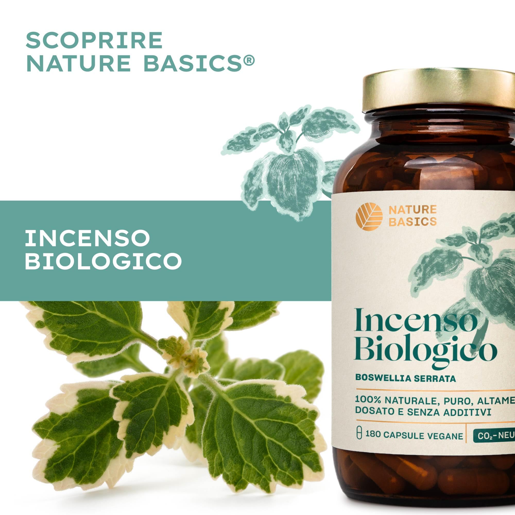 Capsule di incenso biologico - 180 capsule ad alto dosaggio / 500 mg di estratto di incenso biologico per dose giornaliera/Integratore alimentare ayurvedico di alta qualità/Vegano e sostenibile