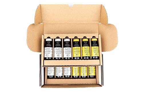 Explorer Cold Brew Concentrate Travel - Paquete de 12 unidades, café helado o caliente, 12 porciones, perfecto para viajes en avión, negro puro y