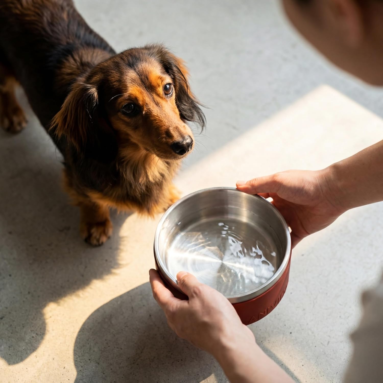 Stainless Steel Dog Water Bowl, Scented Non Slip Bowls for Pets image 5