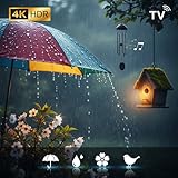 Relaxscreenhub TV