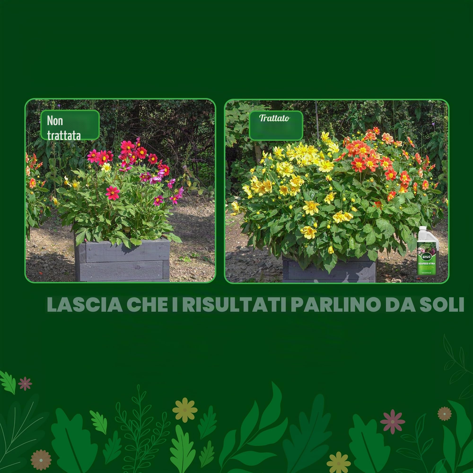 envii Seafeed Xtra, Concime Liquido alle Alghe Marine Biologico – Fertilizzante Naturale per Piante, Orto, Giardino e Prato, Nutrimento Ricco di Nutrienti per Piante da Interno ed Esterno, 5L