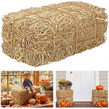 Farmhouse Natural Hay Bales for Decoration, 15.8''x8.3''x6''