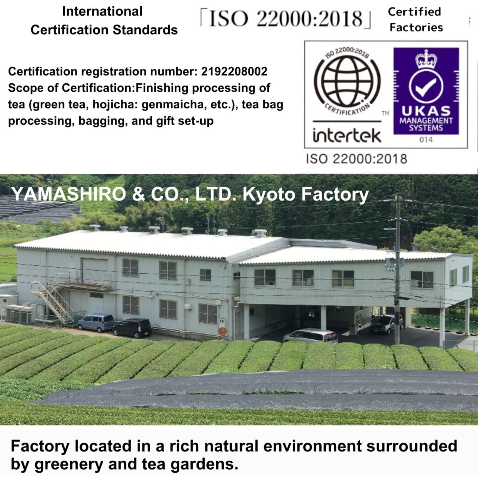 Yamashiro Bussan Green Tea Bag with Organic Matcha Tea 0 07 oz 2 g x 25p — view 7