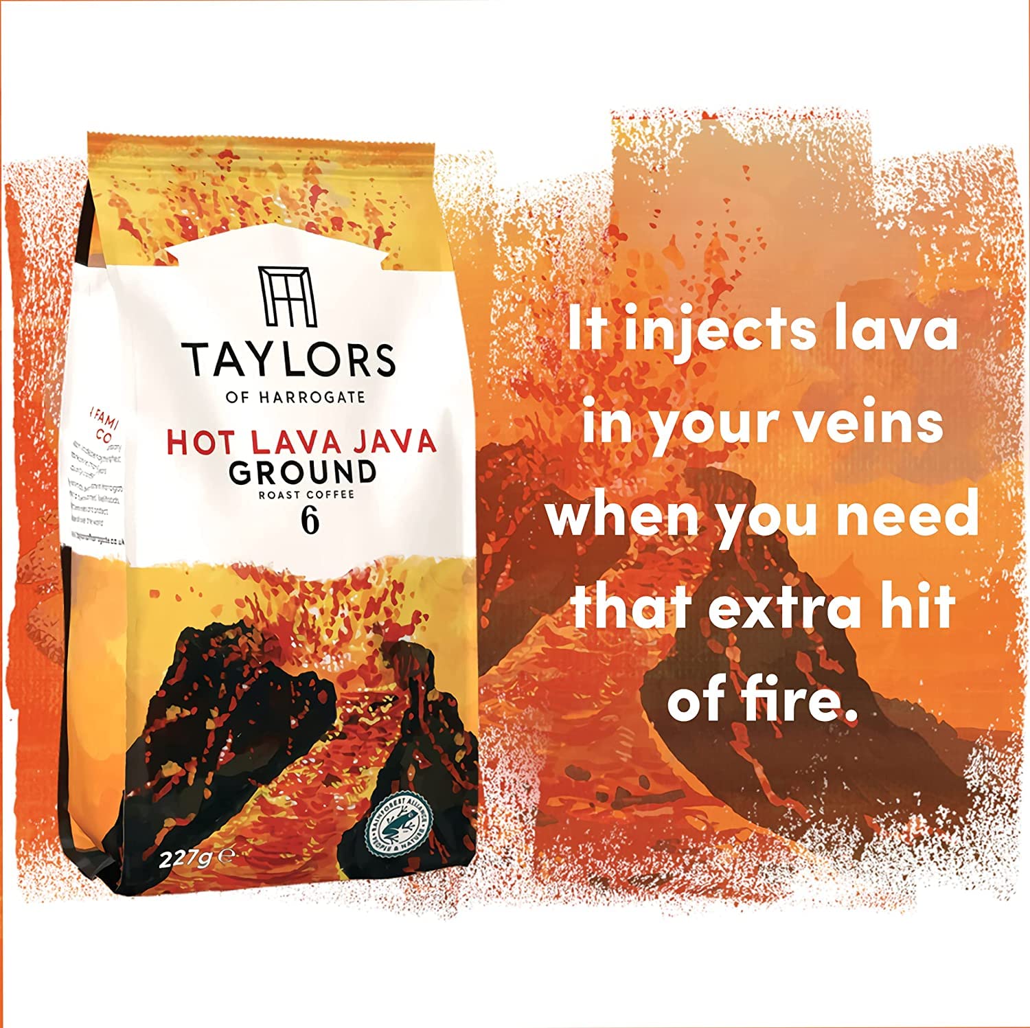 Taylors of Harrogate Hot Lava Java gemahlener Kaffee, 227 g, 6 Stück