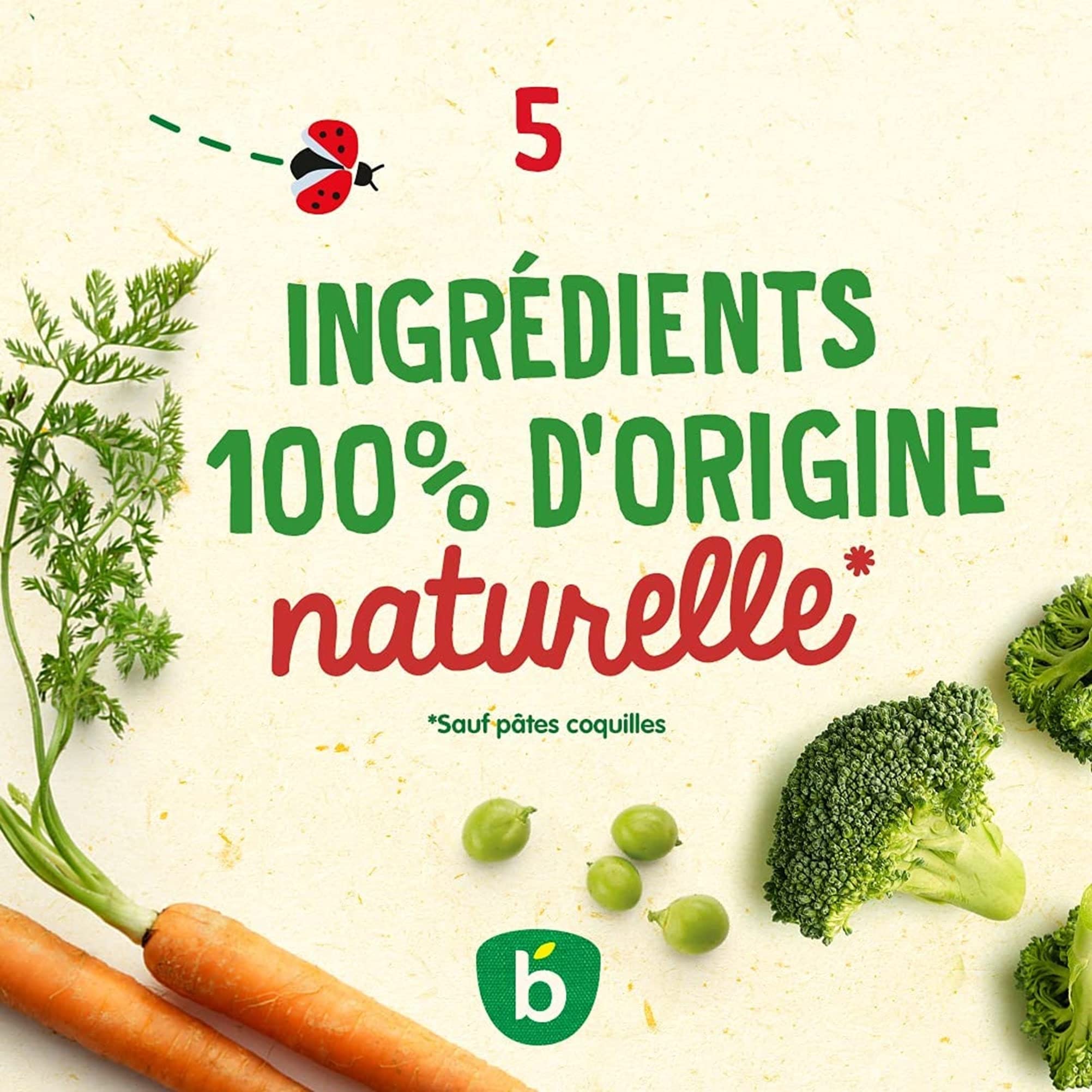 Blédina - Bols - Repas midi bébé - Mouliné de Haricots Verts, Veau & thym - Dès 8 mois - Sans sel ajouté - 12x200g