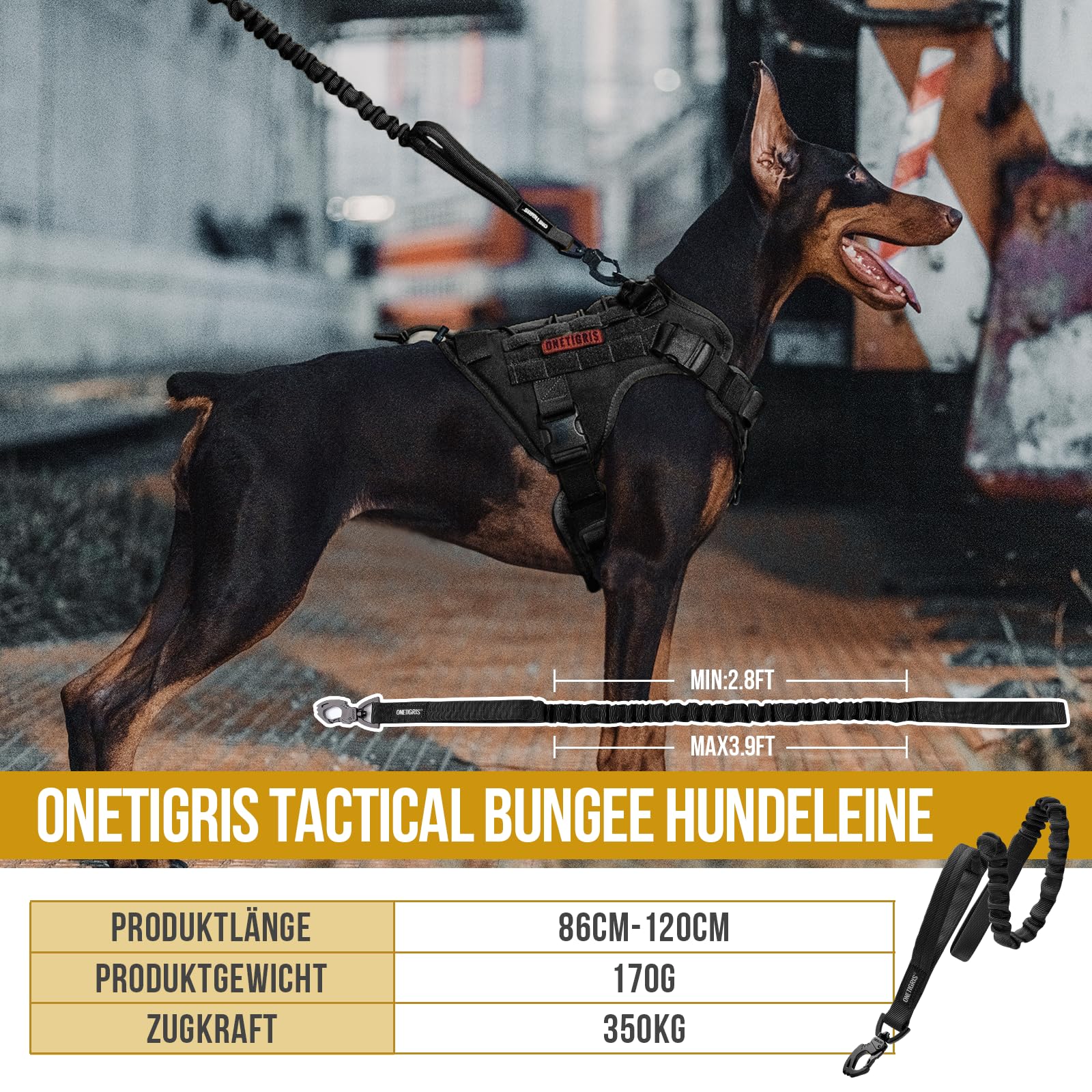 OneTigris Correa para perros con muelle de 86 cm - 120 cm, nailon con diente de tigre, clip de metal y 2 acolchado suave, longitud – negro