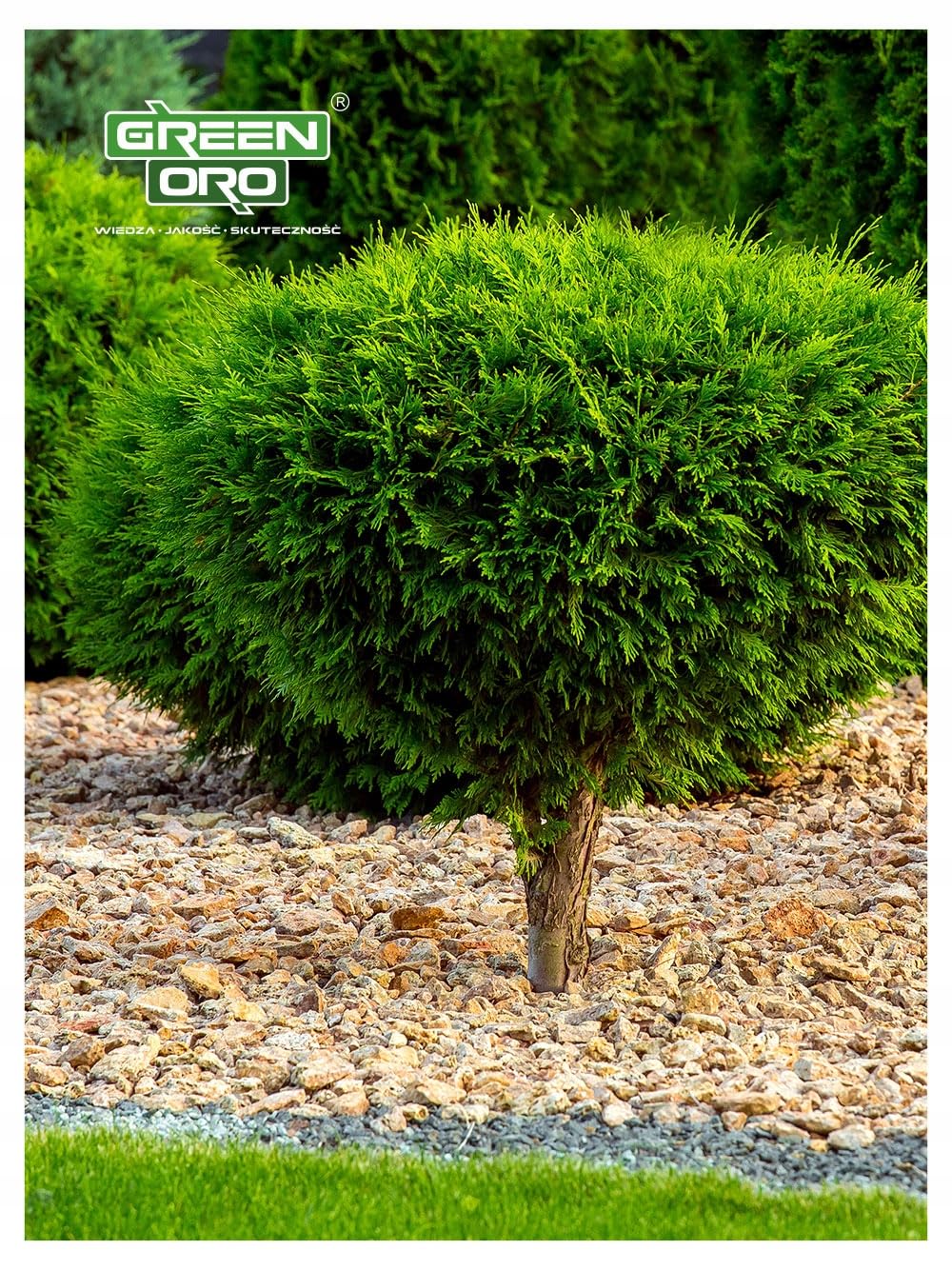 HYDRO AKI 24kg - Fertilizzante autunnale per thuja e conifere