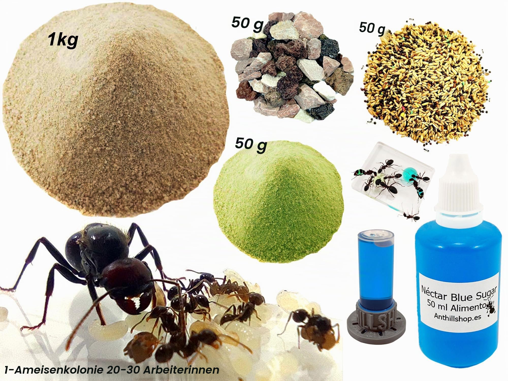 Komplettes Ersatz-Set für Ameisenhaufen mit Sand von 1 kg, Nektar Bluer Sugar 50 ml, Köln 20-30 Ameisen, Ziersteine und Samen, komplettes Futter inklusive