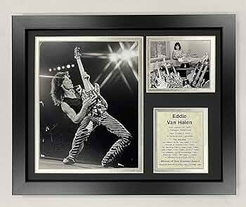 EDDIE VAN HALEN　置物　額　ピック　アート　インテリア　オブジェ EDDIE VAN HALEN置物額ピックアートインテリアオブジェ