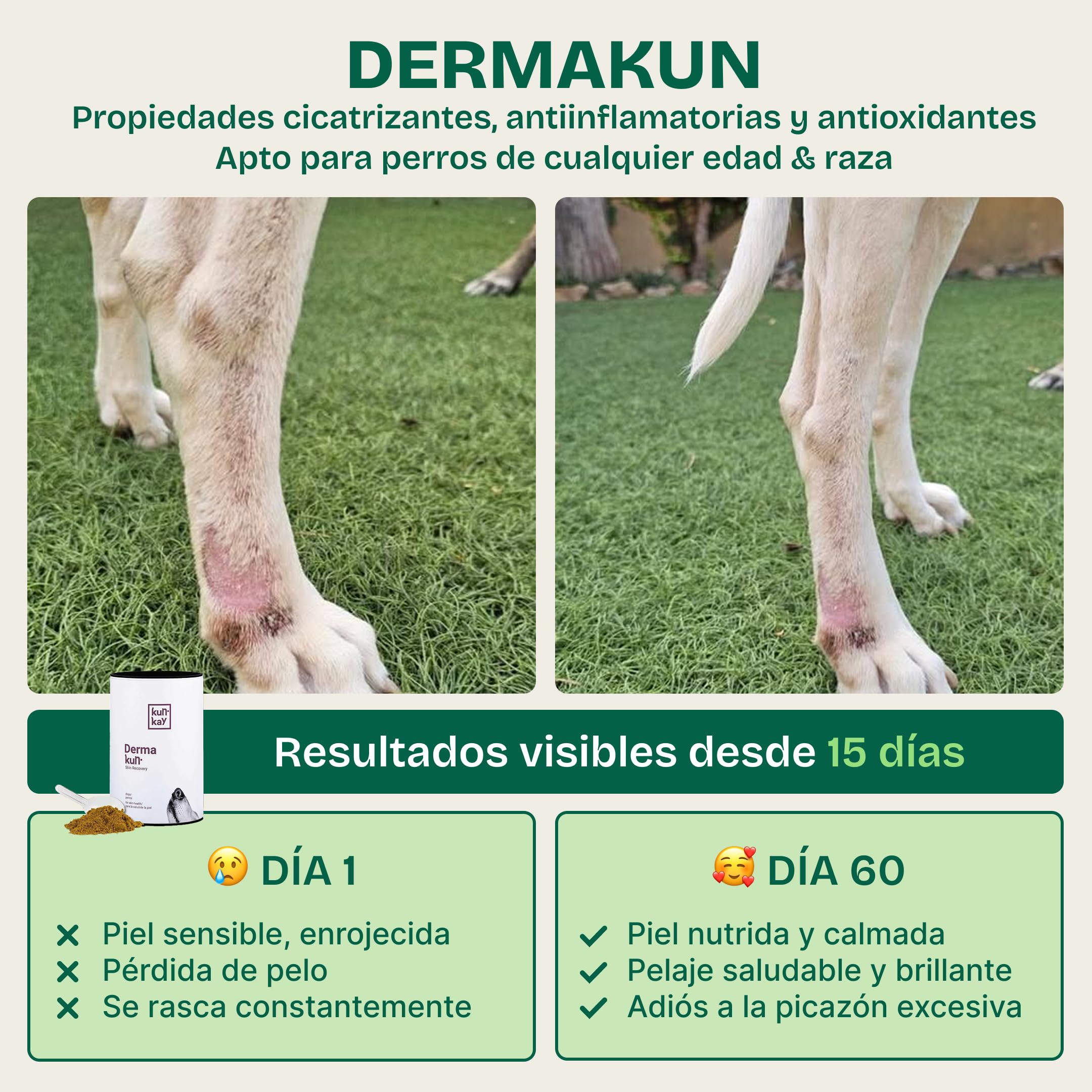 Suplemento Natural para Perros con Dermatitis, picores o caída del Pelo – Dermakun 260 g. con Omega 3, Biotina, Curcumina y Zinc – Mejora Piel y Pelaje
