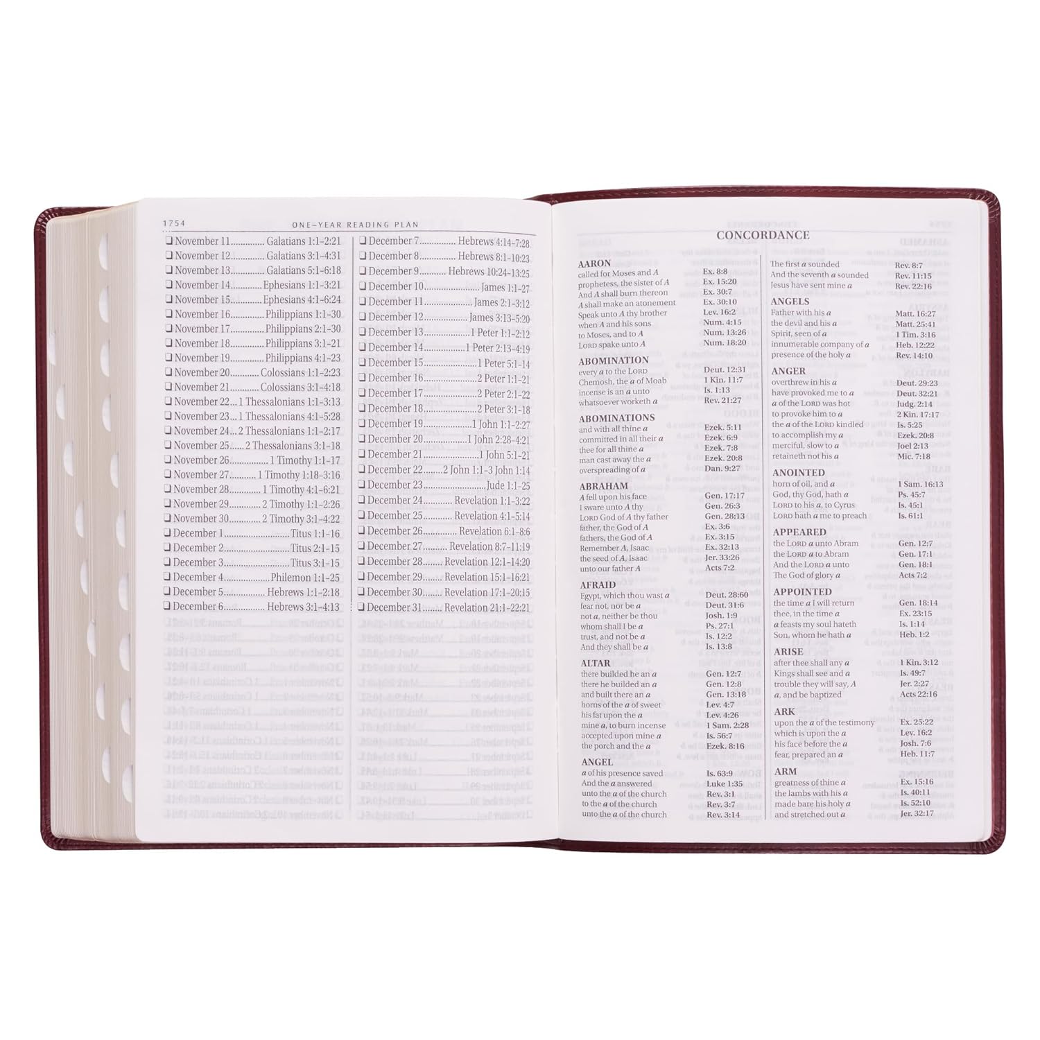 KJV Holy Bible, Super Giant Print Faux Leather Red Letter Edition - Thumb Index & Ribbon Marker, King James Version, Burgundy (KJV Super Giant Print Editions) - Image 6