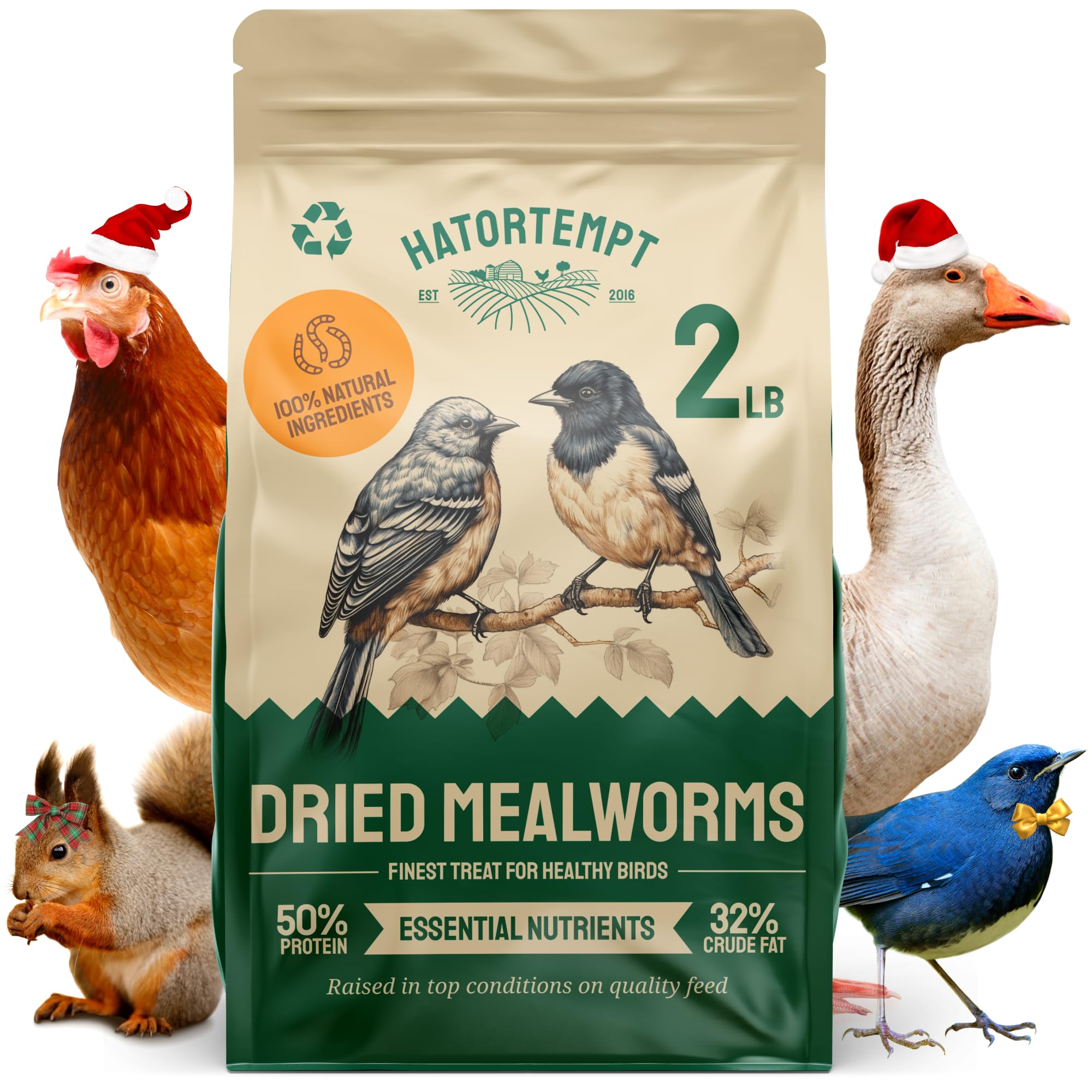 Hatortempt Dried Mealworms - 2 Lb Bag - High Protein Chicken Feed, Mealworms for Birds & Chickens - Meal Worms for Wild Birds & Turtles