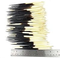 Vista 3 de Heyiwell 10 plumas de puercoespín africano real de 5 a 6 pulgadas de largo