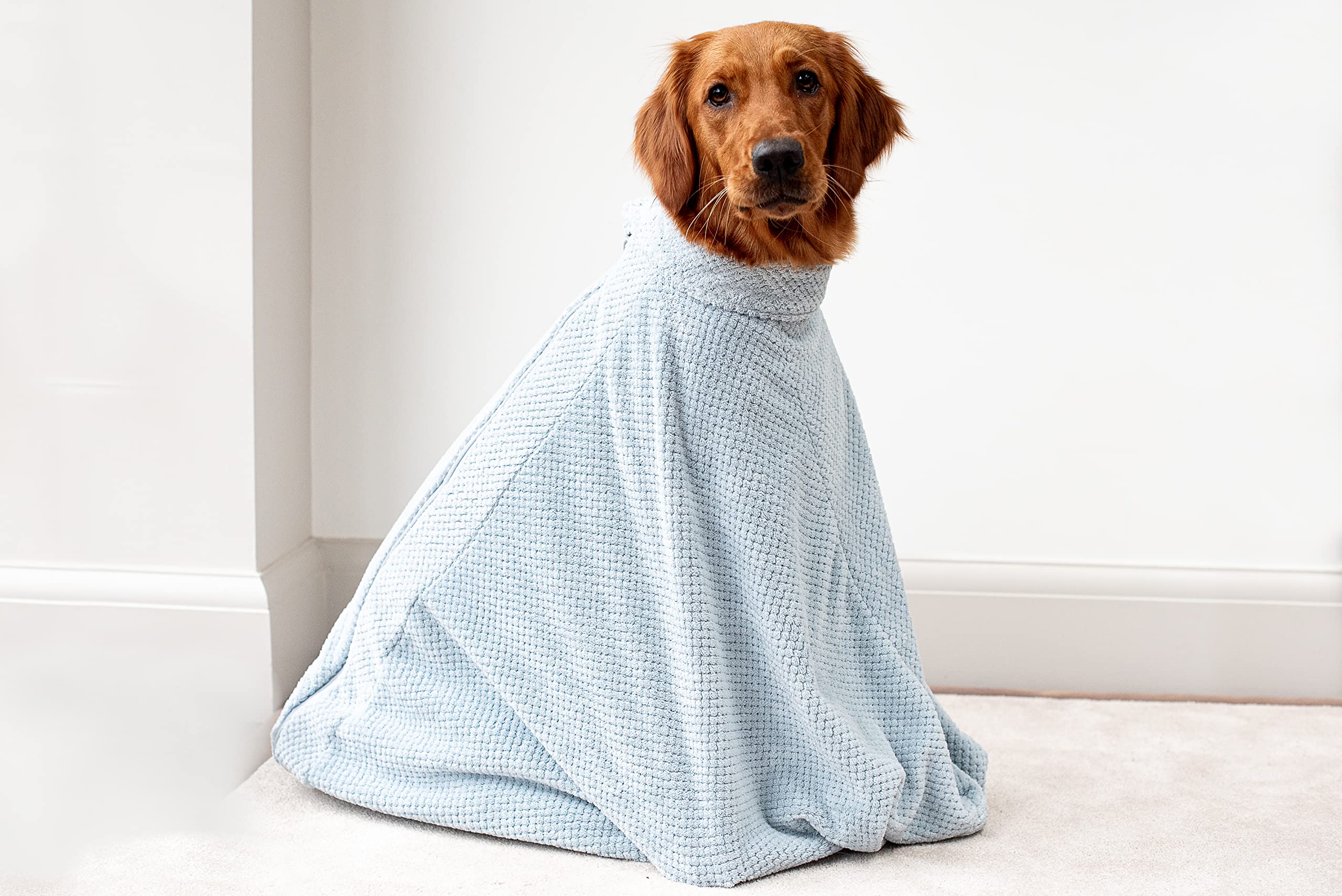 pet wiz Sac de séchage pour chien en microfibre de qualité supérieure - Super absorbant et à séchage rapide - Serviette de bain (M, bleu ciel)