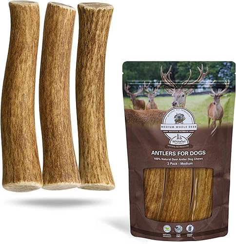 Whitetail Naturals - Paquete de 3 masticables medianos para perros con cuernos de ciervo - Cuernos para perros medianos - Huesos de perro de