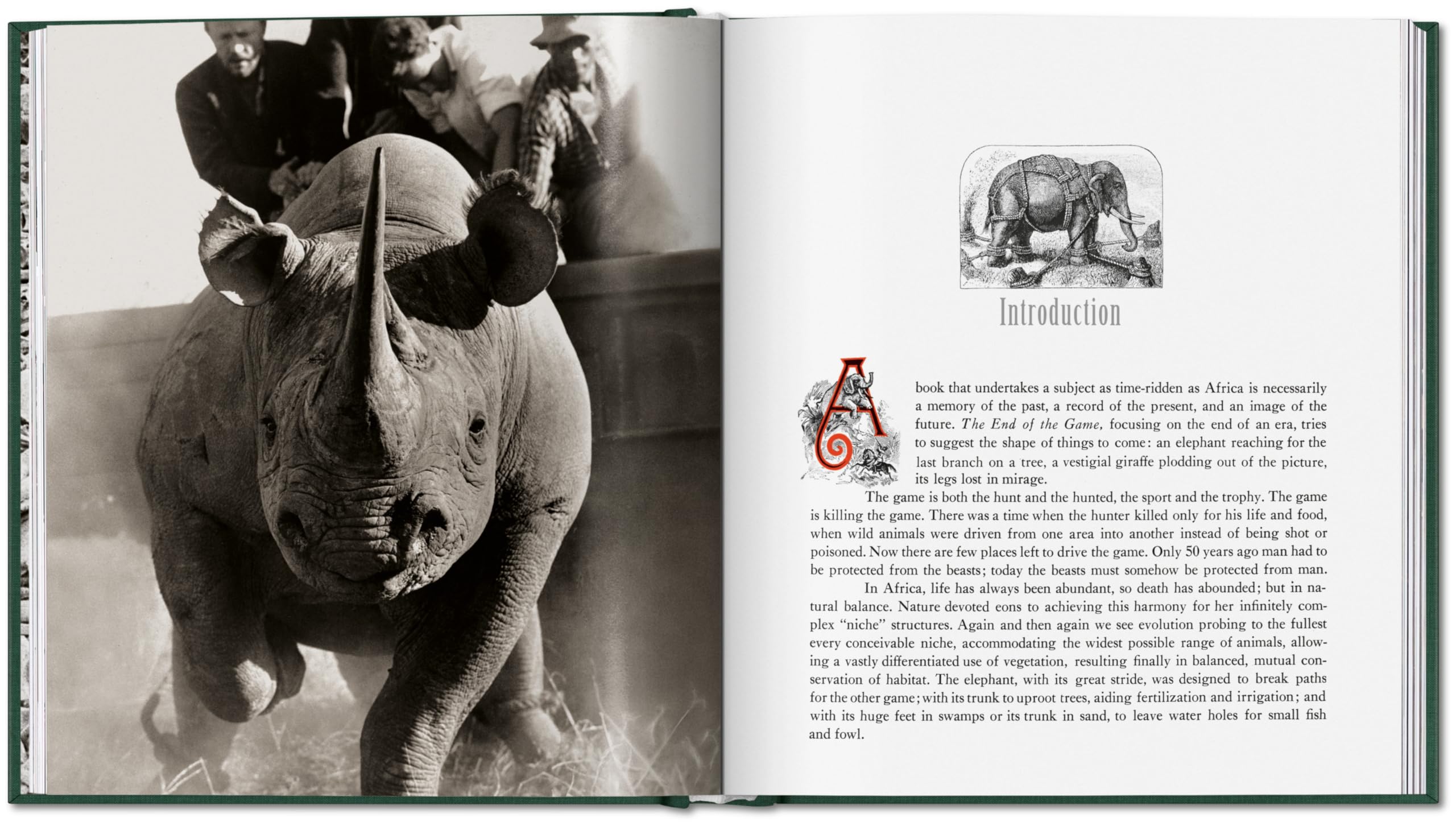 Peter Beard: The End of the Game