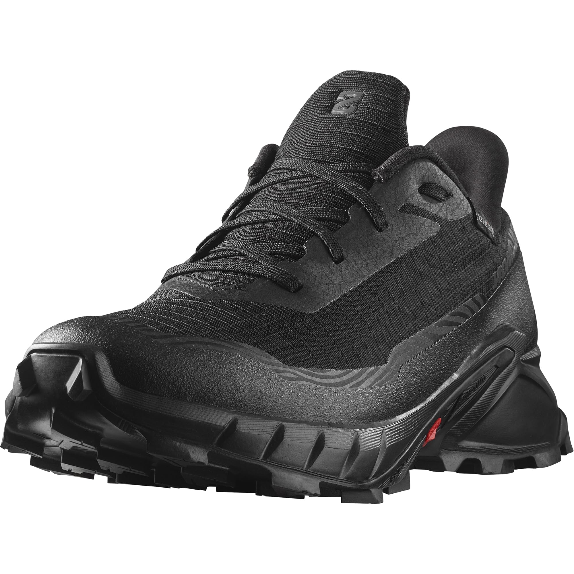 Salomon mens Alphacross 5 Gore-tex for Men