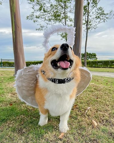 Miniatura 5 de Collar de perro de Halloween para perros grandes, paquete de 2, collar de perro para vacaciones