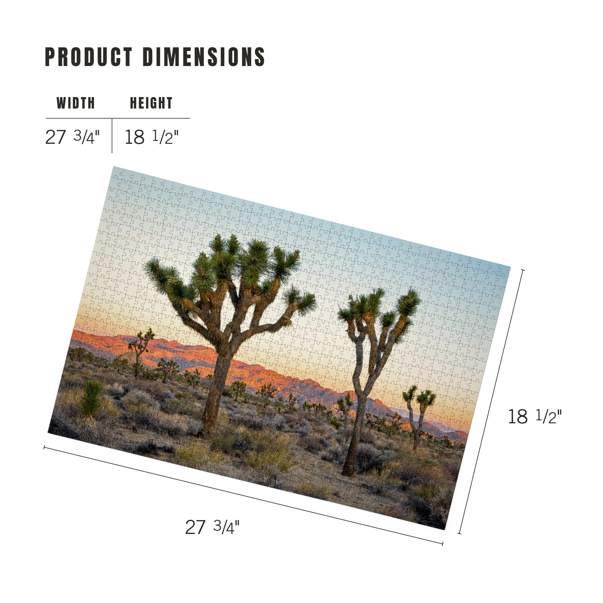 Amazon.com: Lantern Press Joshua Tree National Park at Sunset 1000