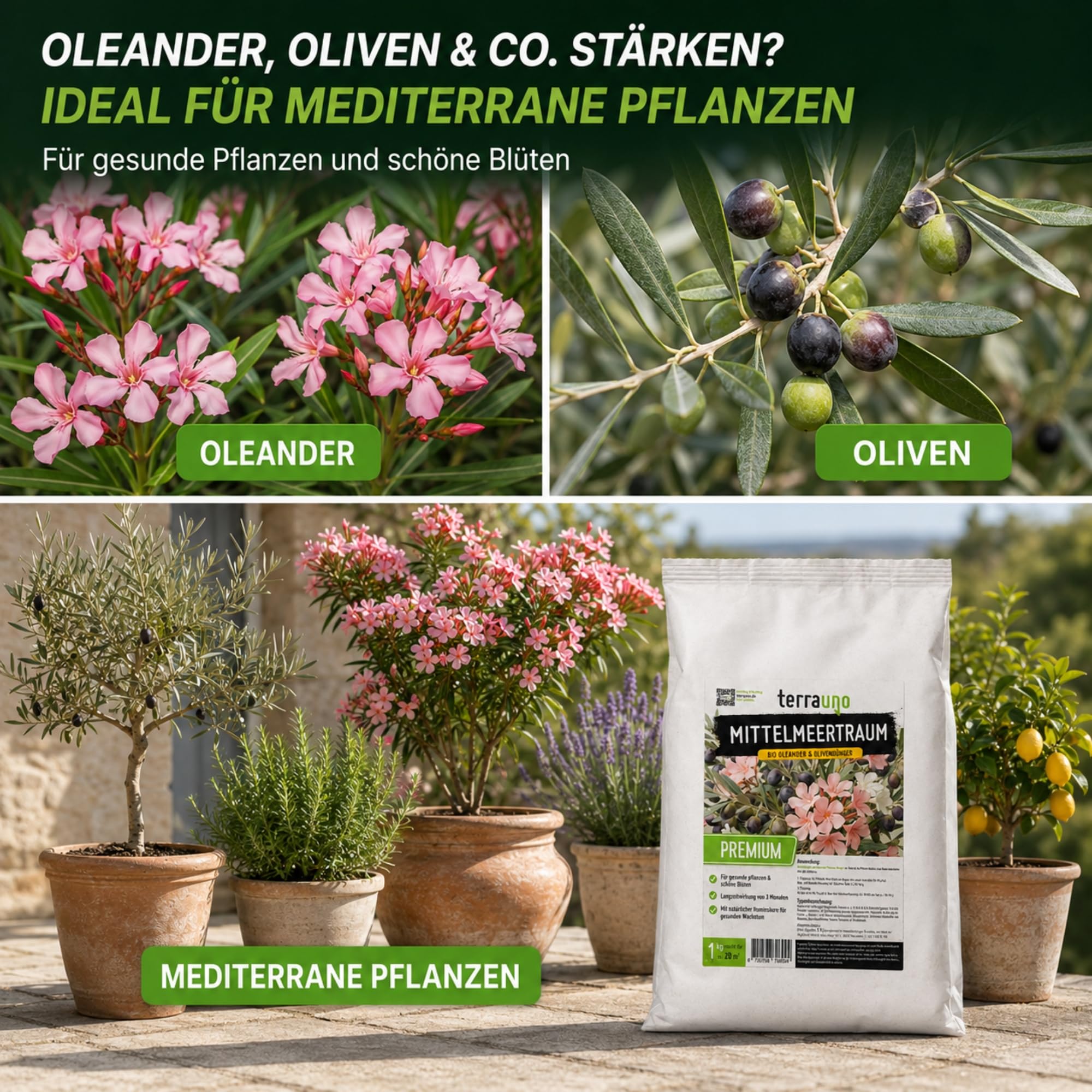 TerraUno Mittelmeertraum Olivenbaum & Oleander Dünger Bio 1 kg, für mediterrane Pflanzen, Zitrus & Palmen, Langzeitdünger mit Huminsäure, Organischer Volldünger Granulat