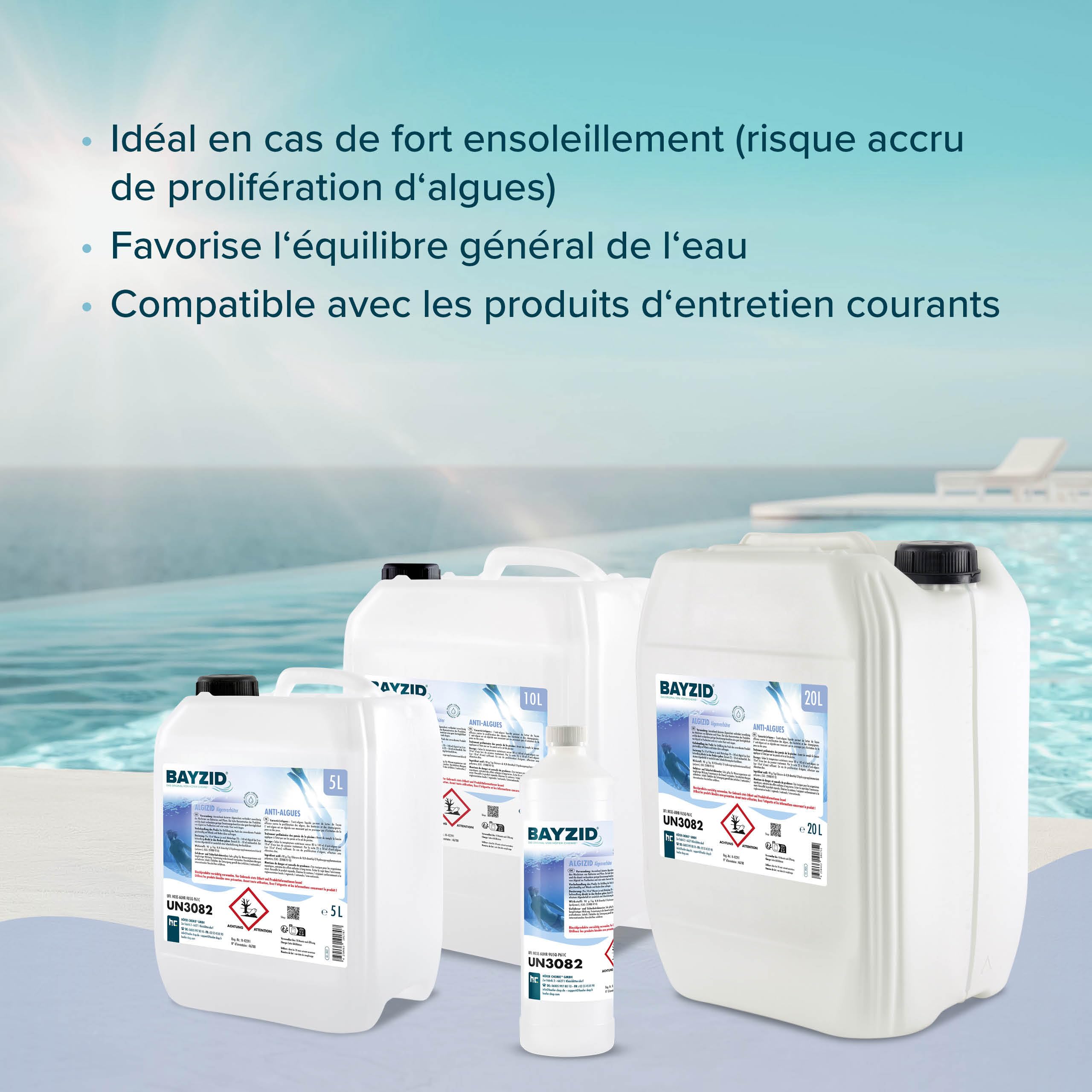 Höfer Chemie 1 x 5 L BAYZID® Algicide Anti Algue pour Piscine - Anti-Algues Non Moussant à Double Action Curative et Préventive - Efficace Contre Bactéries et Champignons