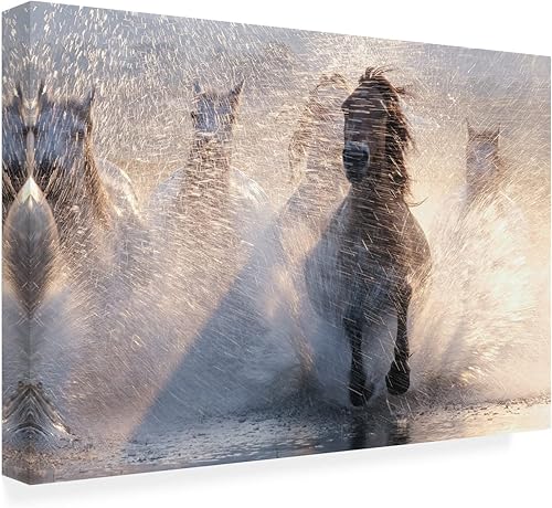 Miniatura 2 de Trademark Fine Art Lienzo con diseño de "Run 1" de Bingo Z