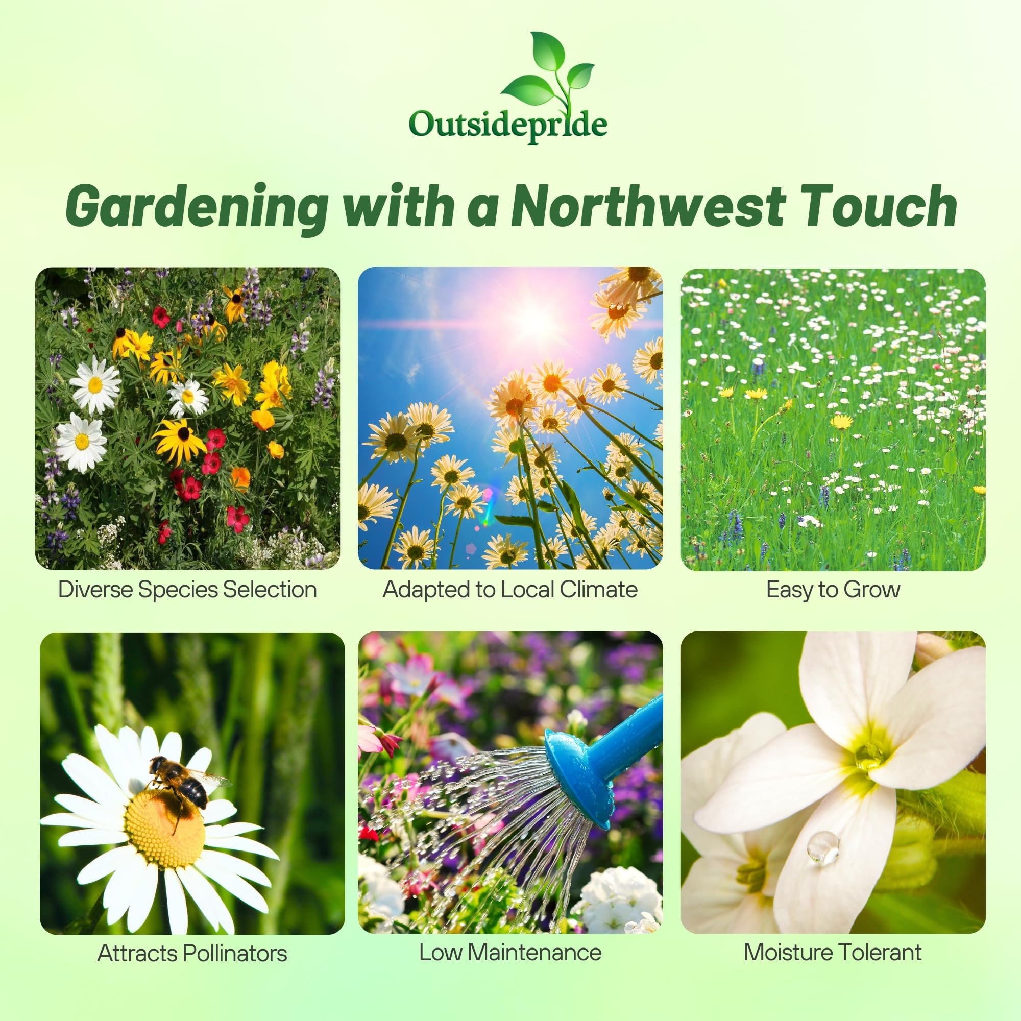best fertilizer potted plants Organic Indoor Houseplant Plant Food main image 1
