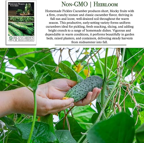 Miniatura 3 de Semillas de pepino "encurtidos caseros" para plantar, más de 50 semillas de reliquia por paquete, semillas de jardín de Isla (semillas de jardín de
