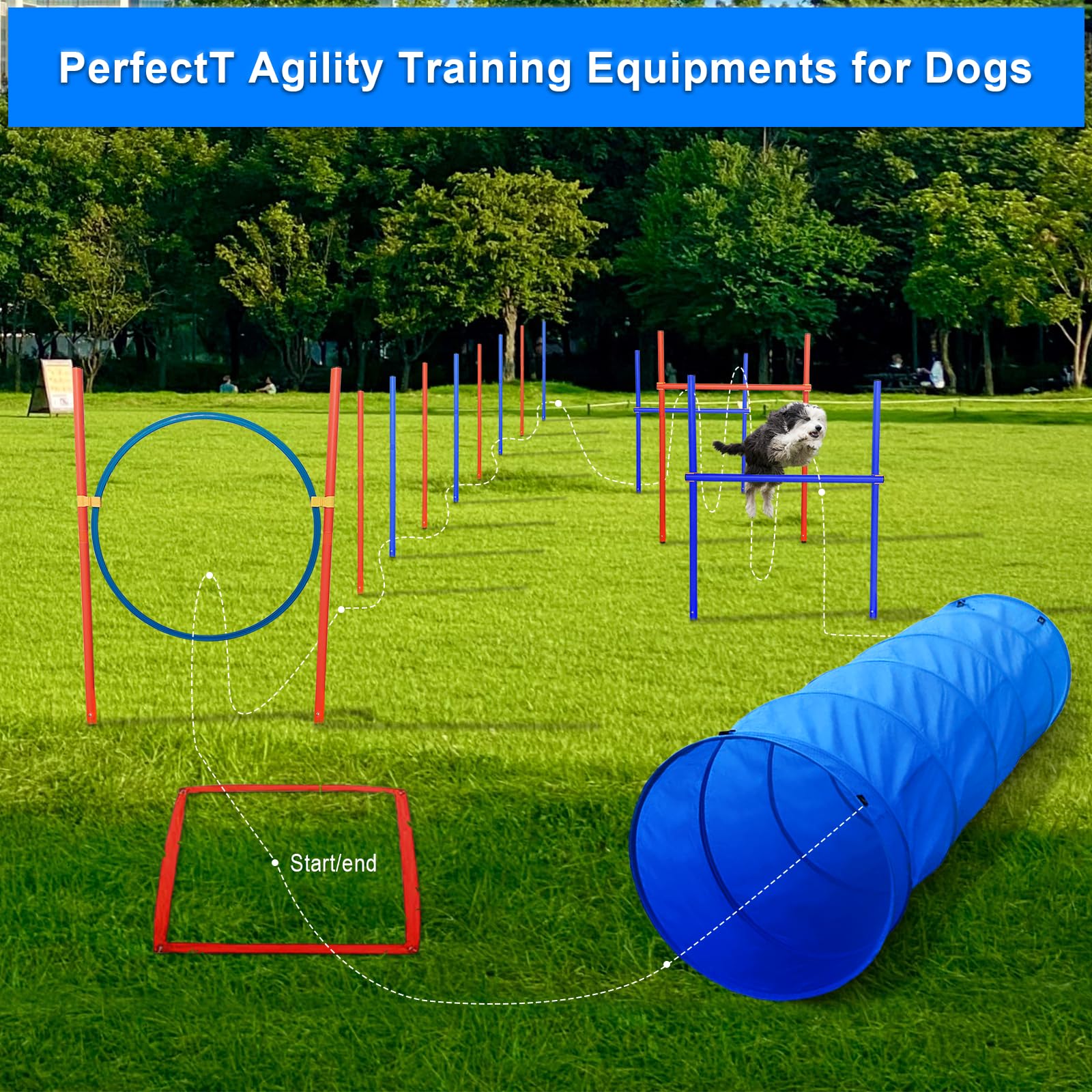 G TALECO GEAR Agility Set Hunde, 7-teiliges Set Agility Ausrüstung für Hunde, Agility Set mit 180CM Hundetunnel, Einstellbar Springring, 3 Einstellbar Hürdenstange, 8 Slalomstangen