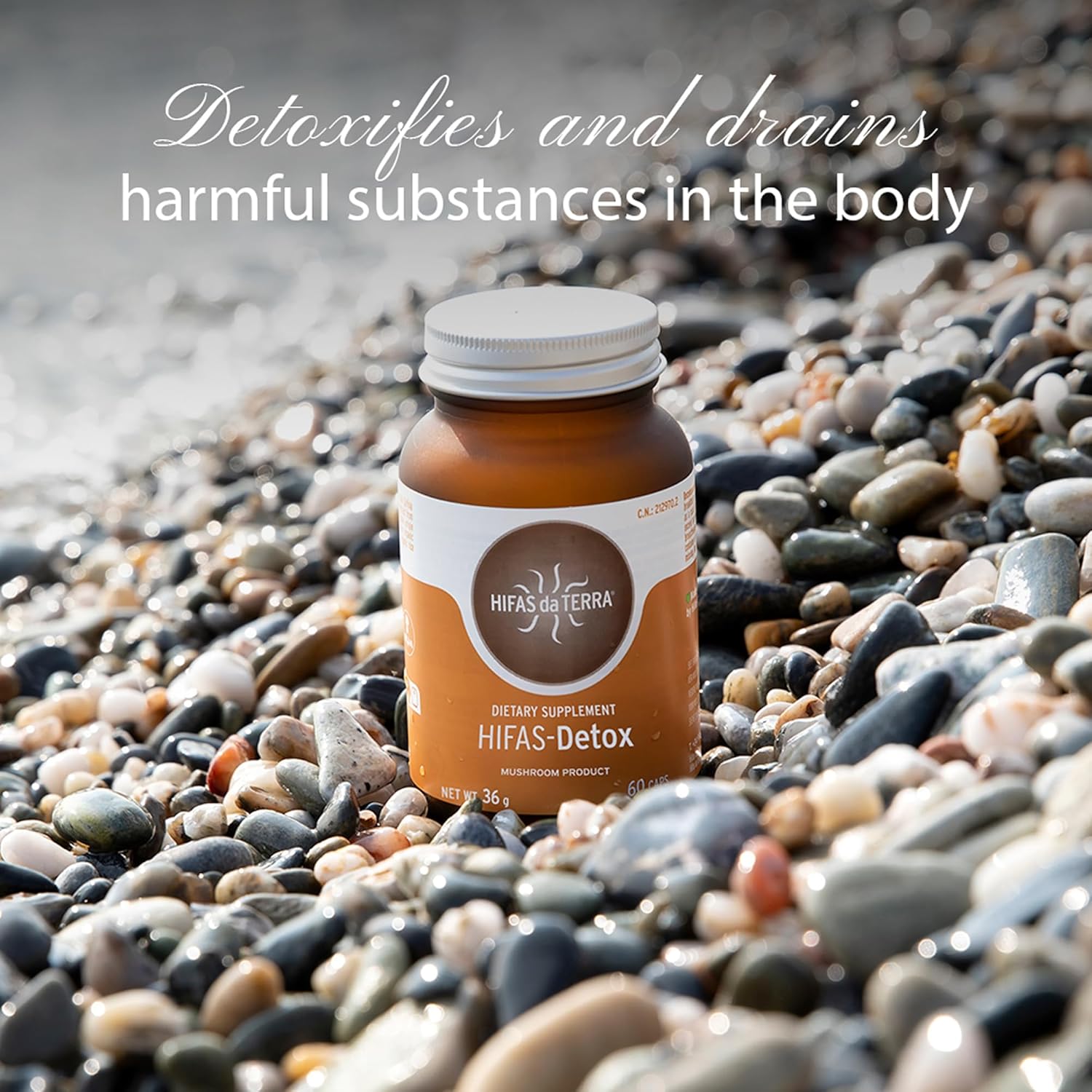 HIFAS DA TERRA HIFAS Detox - Maitake Mushroom Capsules with Polyporus, Organic Mushroom Extract Complex, Daily Brain Supplement for Women & Men, Herbal Immune Support - 60 Vegan Capsules - Image 5