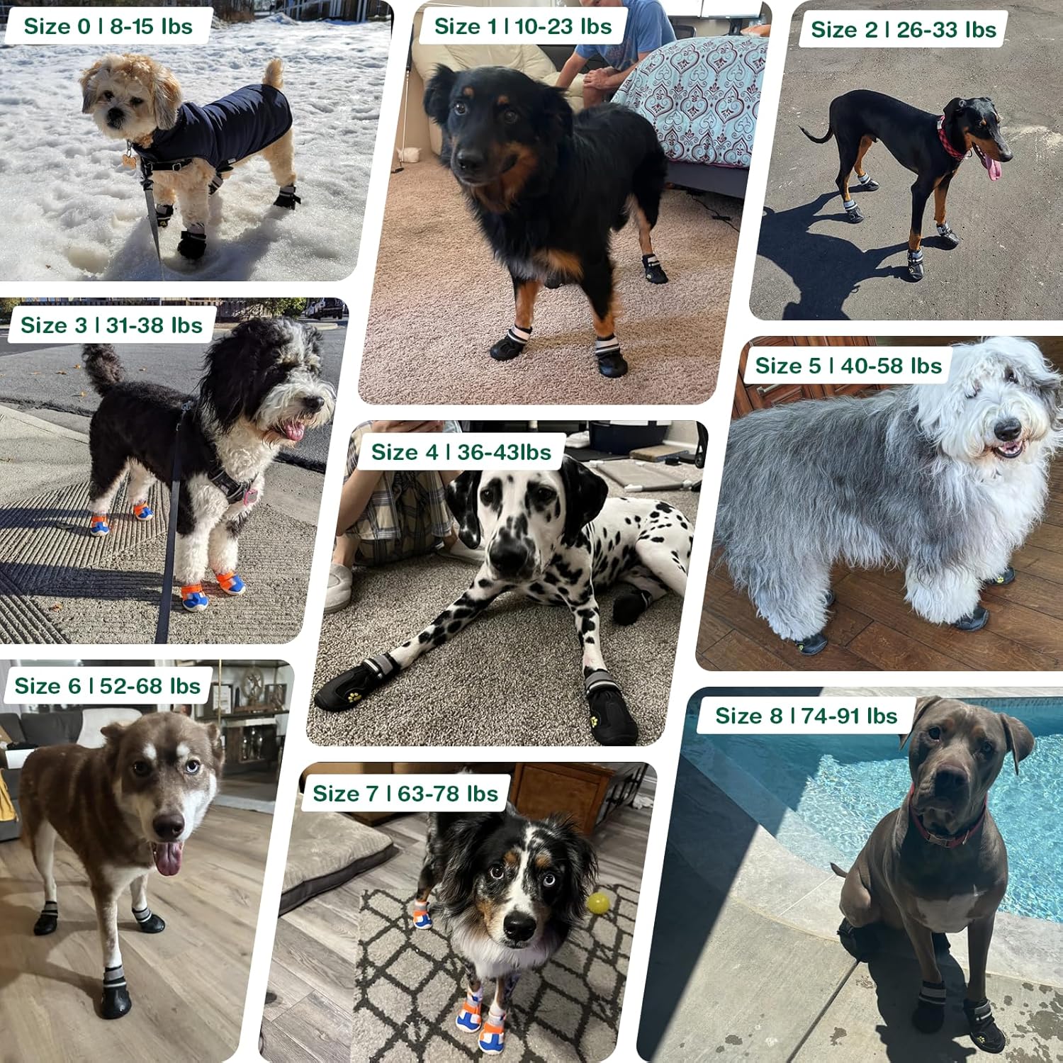 Dog Shoes for Large Dogs, Anti-Slip Dog Boots for Winter Snow, Hot Pavement, Dog Booties & Paw Protectors Black Size 6