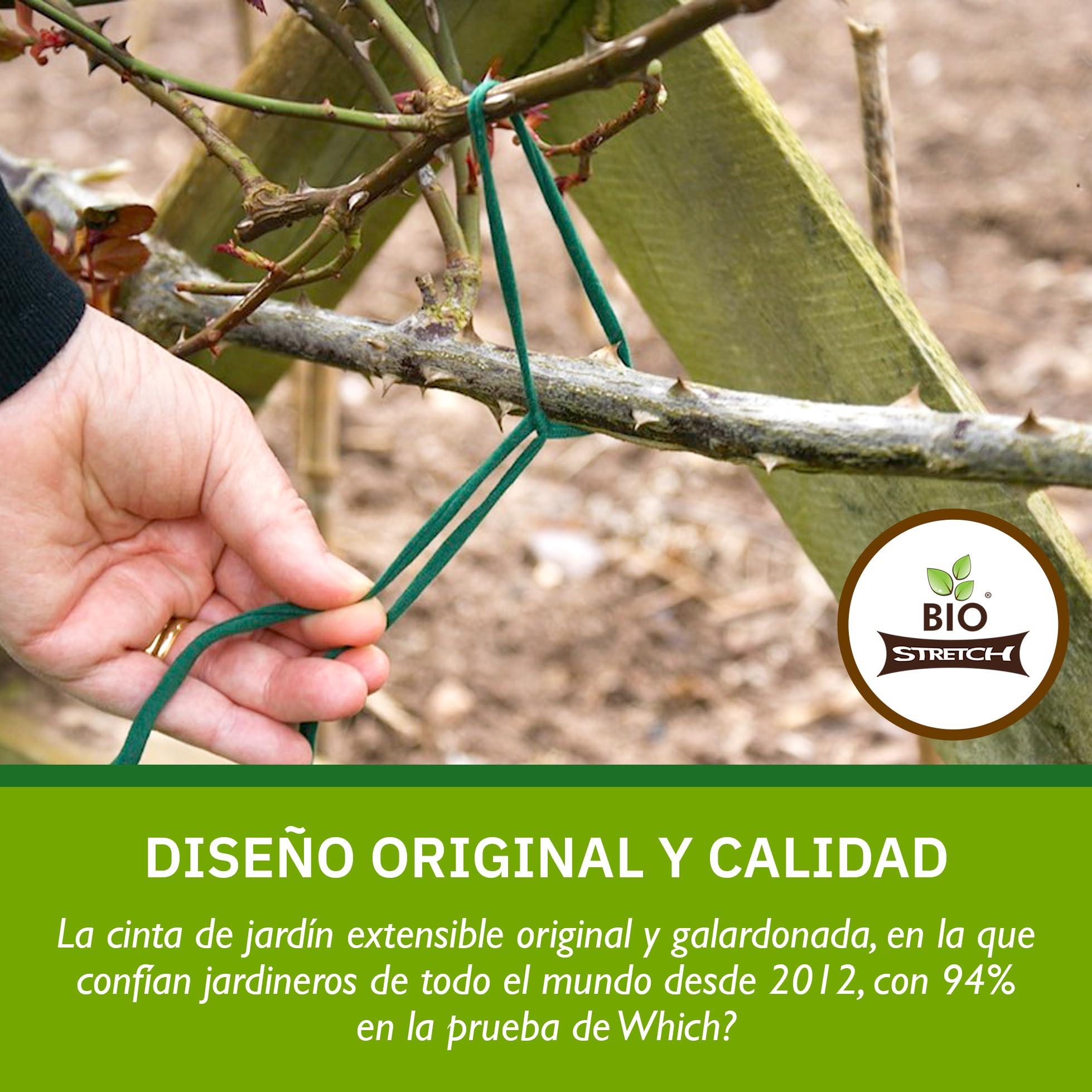 Bio-Stretch Cintas de Jardín Suaves para Plantas de Interior y Exterior – Resistentes y Elásticas, Cortables a Medida, para Plantas Trepadoras, Tomates y Jardinería en Casa (20m / Verde)