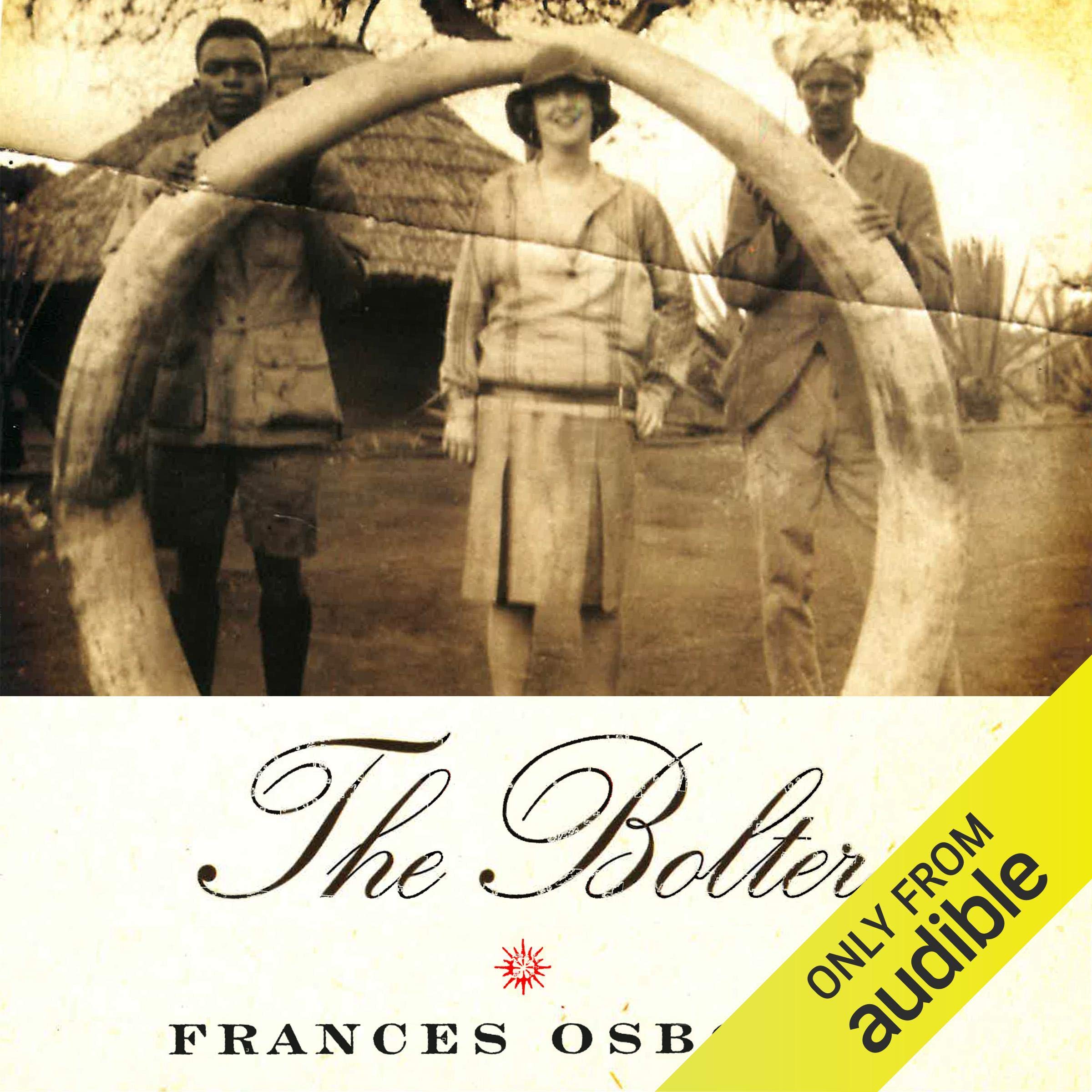 Cover art for The Bolter