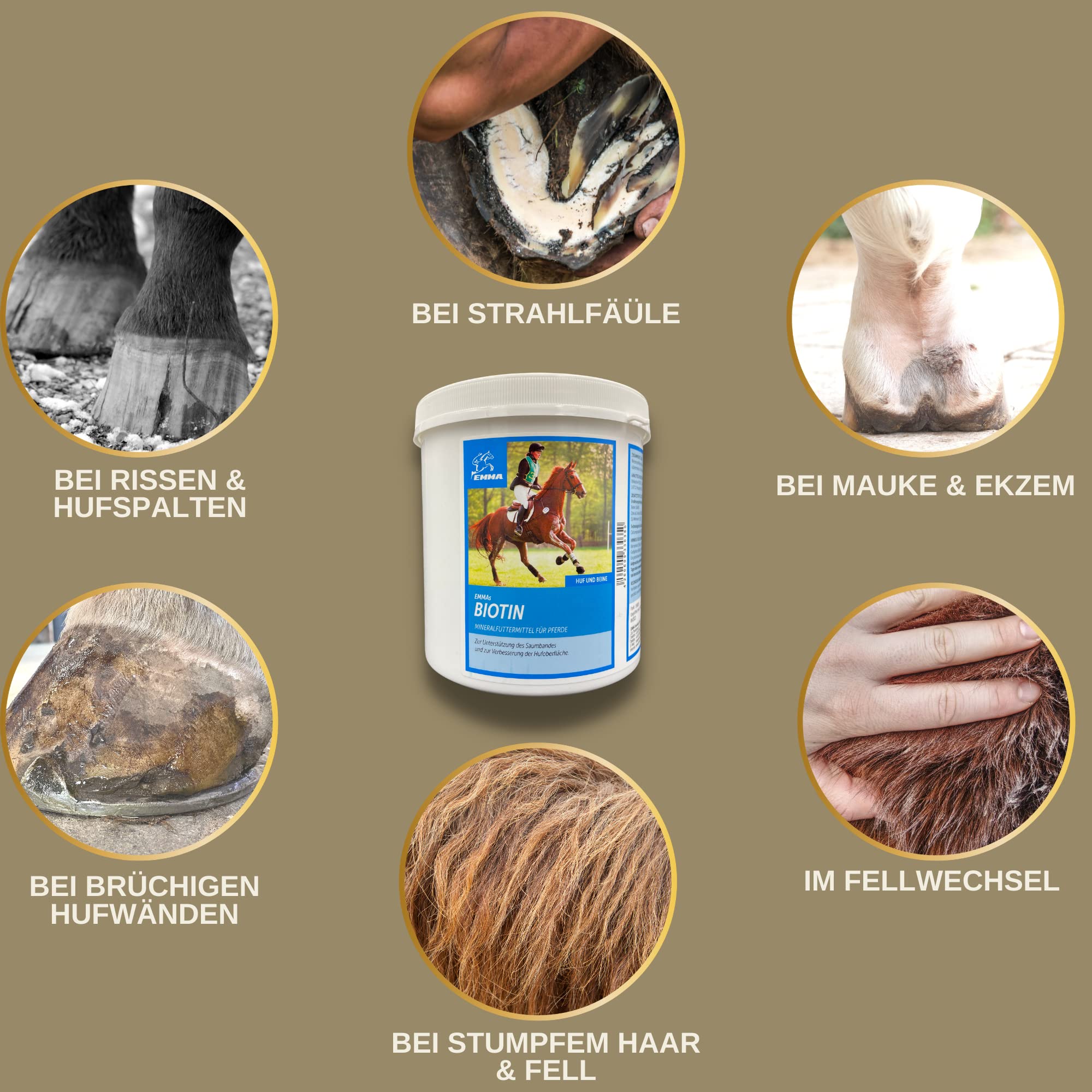 Biotin Plus cynk dla koni, 1 kg – wysoka dawka kuracja dla wzrostu kopyt i jakości kopyt – mineralna karma dla kopyt, sierść skóry – pomoc w przypadku wyprysku i niedoboru cynku – biotyna, cynk