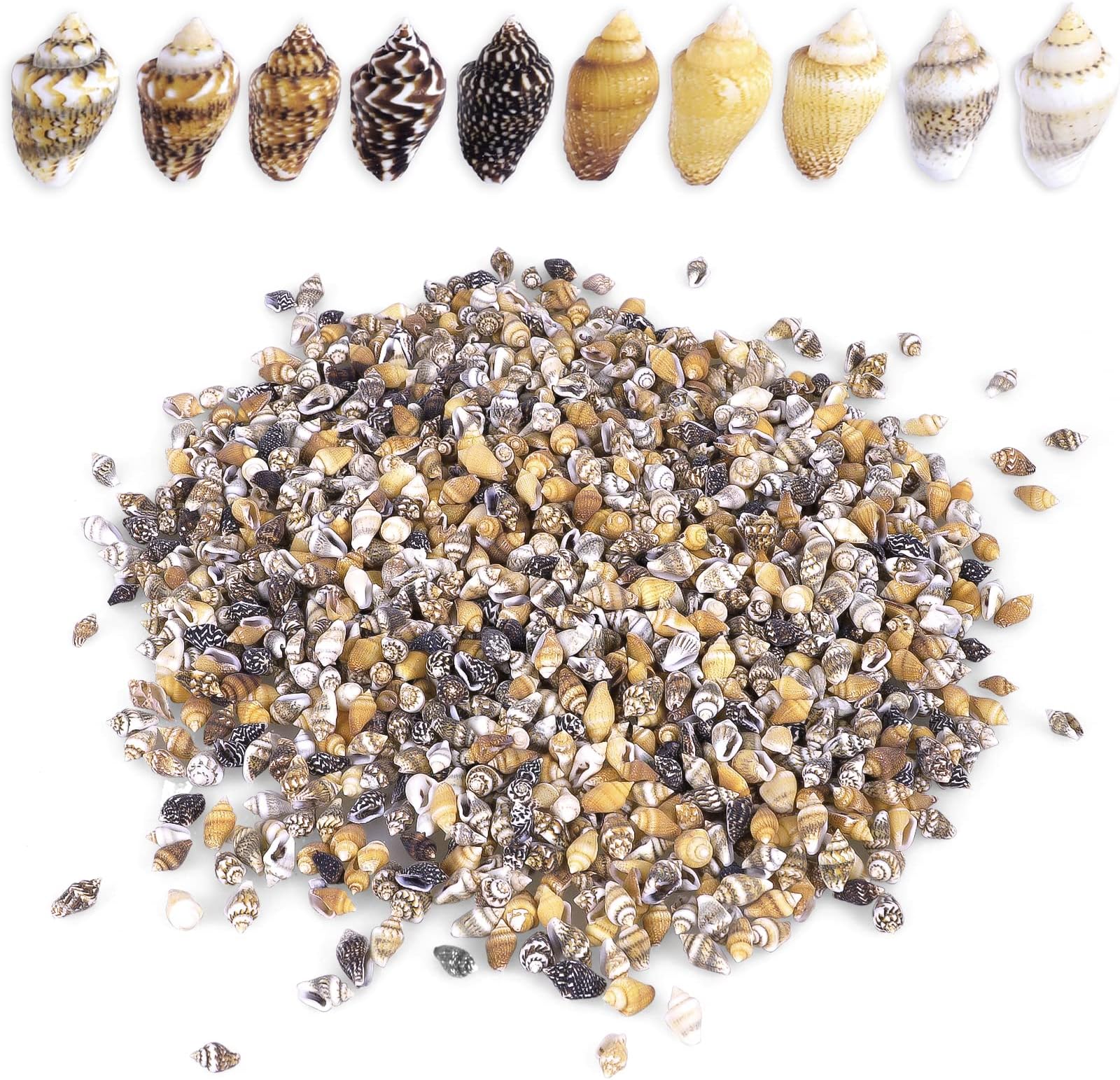 2000 PCS Tiny Mini Small Sea Shells for Crafting Spiral Conch Shells for Crafts Charms for Home Decorations Candle Decor DIY Fish Tank and Beach Vase Filler