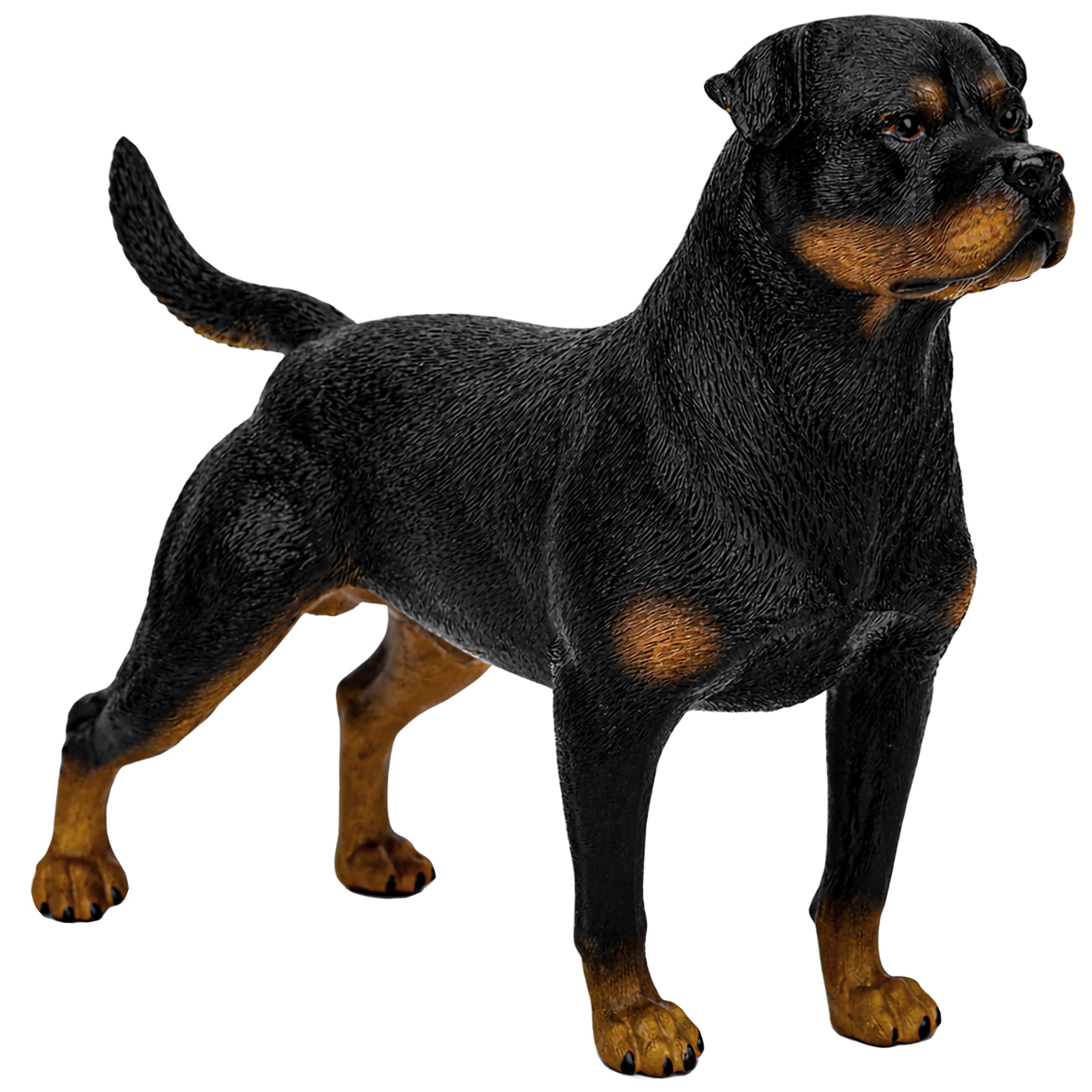 Amazon.com: Rottweiler Statues Figurines - Realistic Dog Figurine