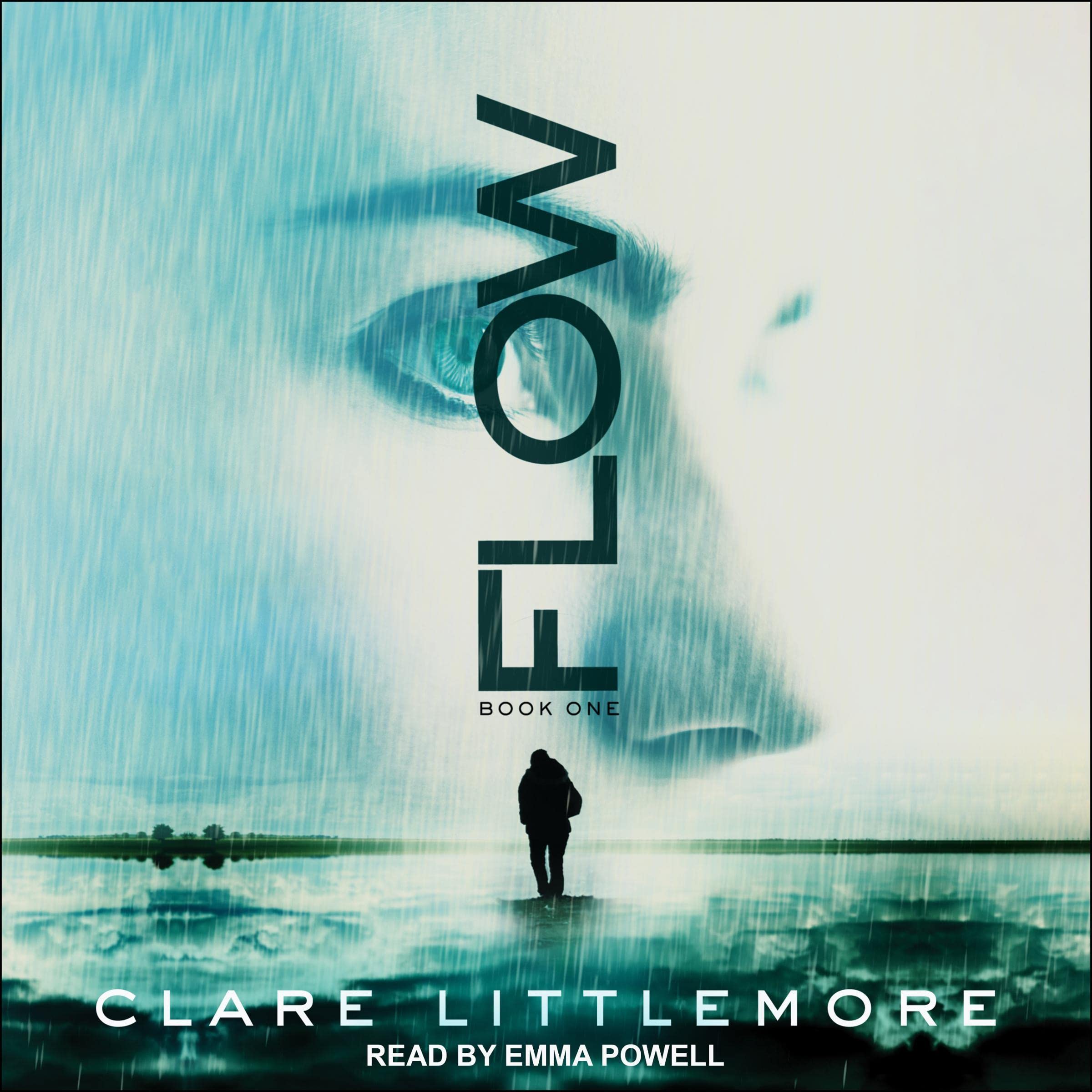 Cover art for Flow
