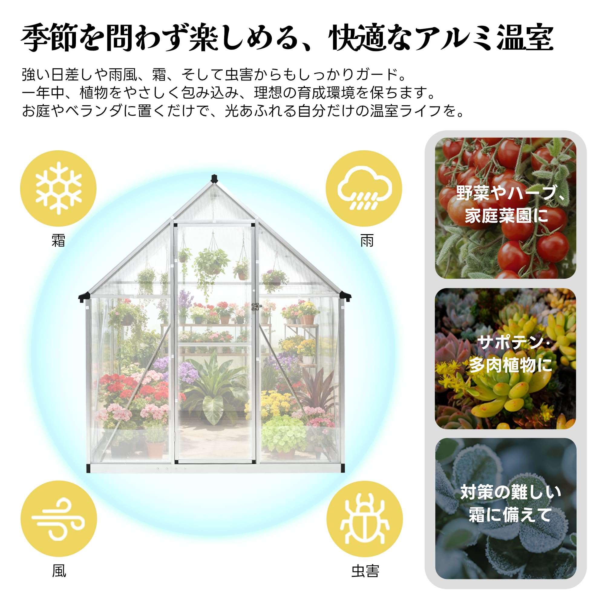 Amazon.co.jp: 森風ShinrinKaze ビニールハウス アルミ温室 家庭用