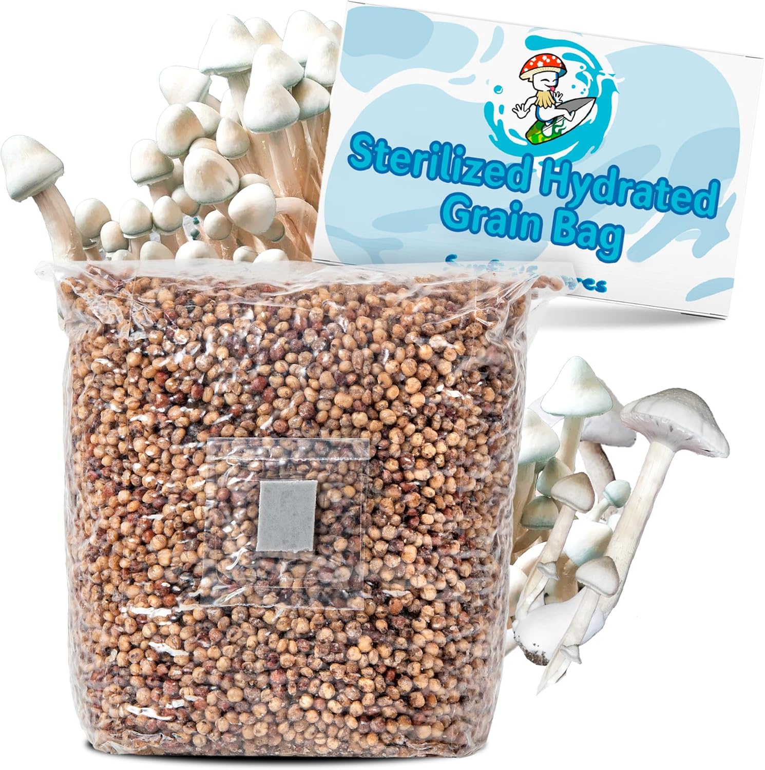 Surfin’ Spores Sterilized Hydrated Grain Bag for Mushroom Growing | Sterile Grain Spawn Bag w/Self-Healing Injection Port | White Milo Grain Infused w/Oyster Shell | 2 lbs of Grain (Single)