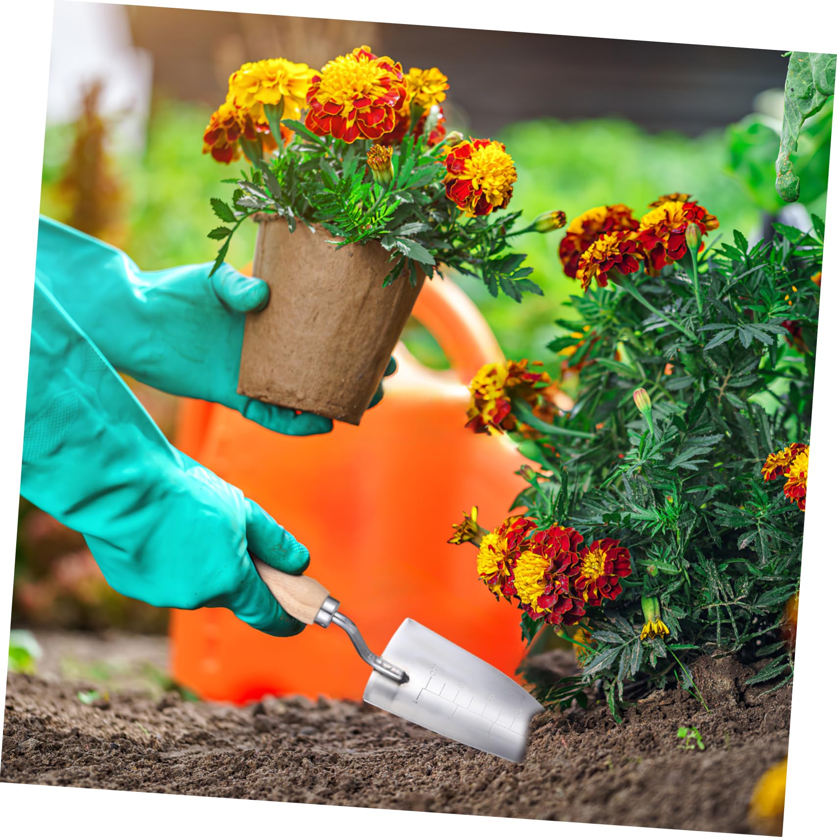 VANZACK 5 Stück Gartenkelle mit Maßstab Robustes Gartenwerkzeug für Präzises Pflanzen und Umpflanzen für Kleine und Gartenarbeit Langlebig und Benutzerfreundlich