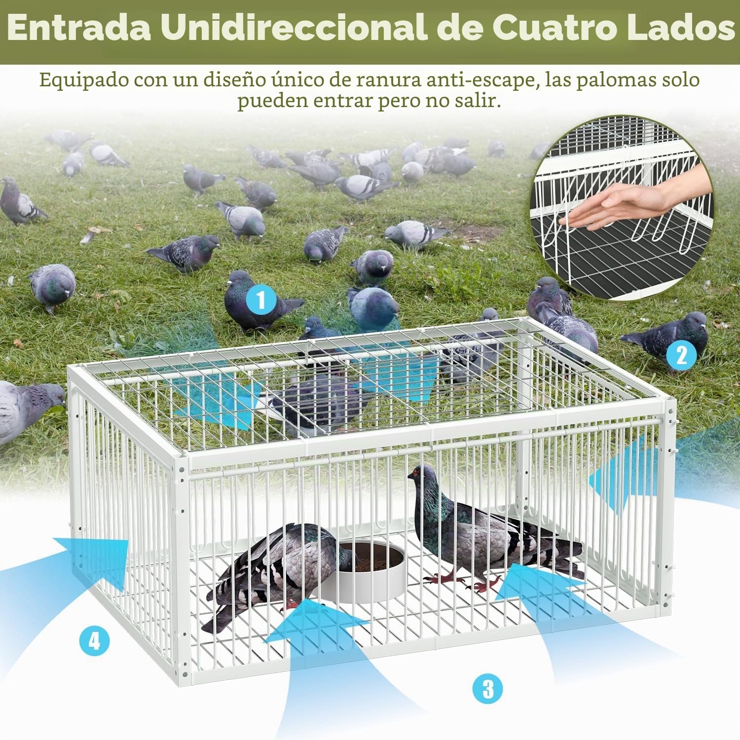 Jaula de trampa para palomas con entrada unidireccional (4 puertas), jaula de captura de pájaros, jaula de trampa automática con diseño a prueba de escape, jaula para pájaros para palomas de