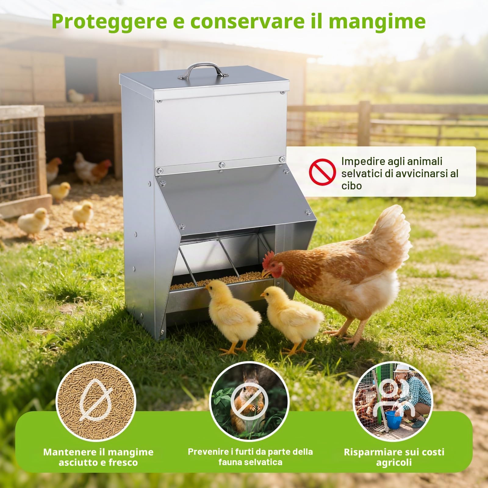 BAOSHISHAN Mangiatoia automatica per polli | Mangiatoia a muro 10 kg con coperchio per polli, anatre e oche
