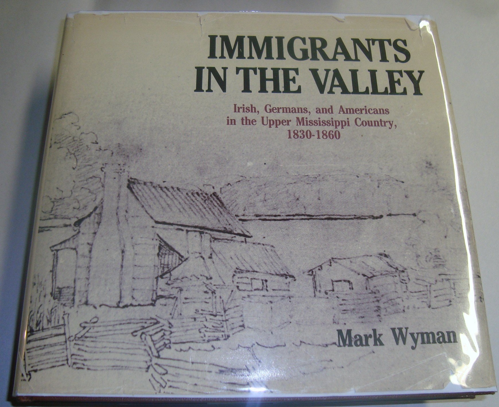 Immigrants in the Valley: Irish, Germans, and Americans in the Upper Mississippi Country, 1830-1860