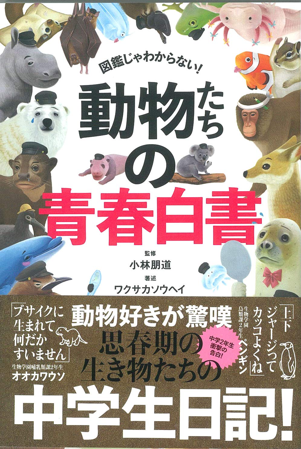 洋書◆野生動物の写真集 本 ライオン 白クマ 馬 鳥 パンダ ペンギン サメ 動物たちの青春白書 | ワクサカ ソウヘイ, 小林 朋道 |本 | 通販 | Amazon