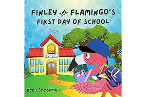Finley The Flamingo's First Day of School by Invisible Boy Harrison Mooney